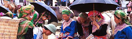 Sapa Vietnam Train